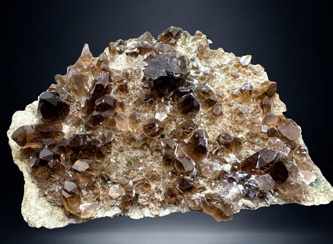 Morion Platte