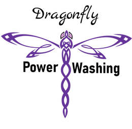 Dragonfly logo 1.png