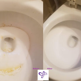 Before and After Toilet Cleaning