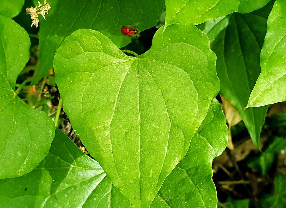 20220606_094747_edited_edited.jpg