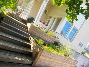 Piha täynnä toimintaa