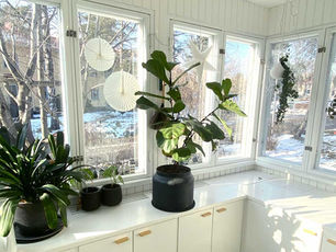 Mitä kannattaa huomioida, pyytäessä tarjousta puusepäntyöstä