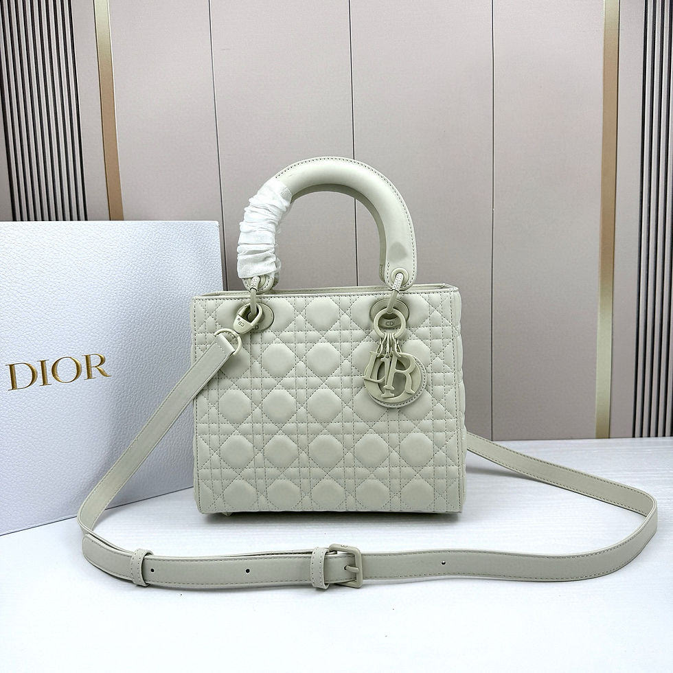 Christian Dior Bag 16542