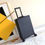 Thumbnail: Louis Vuitton Luggage 12111