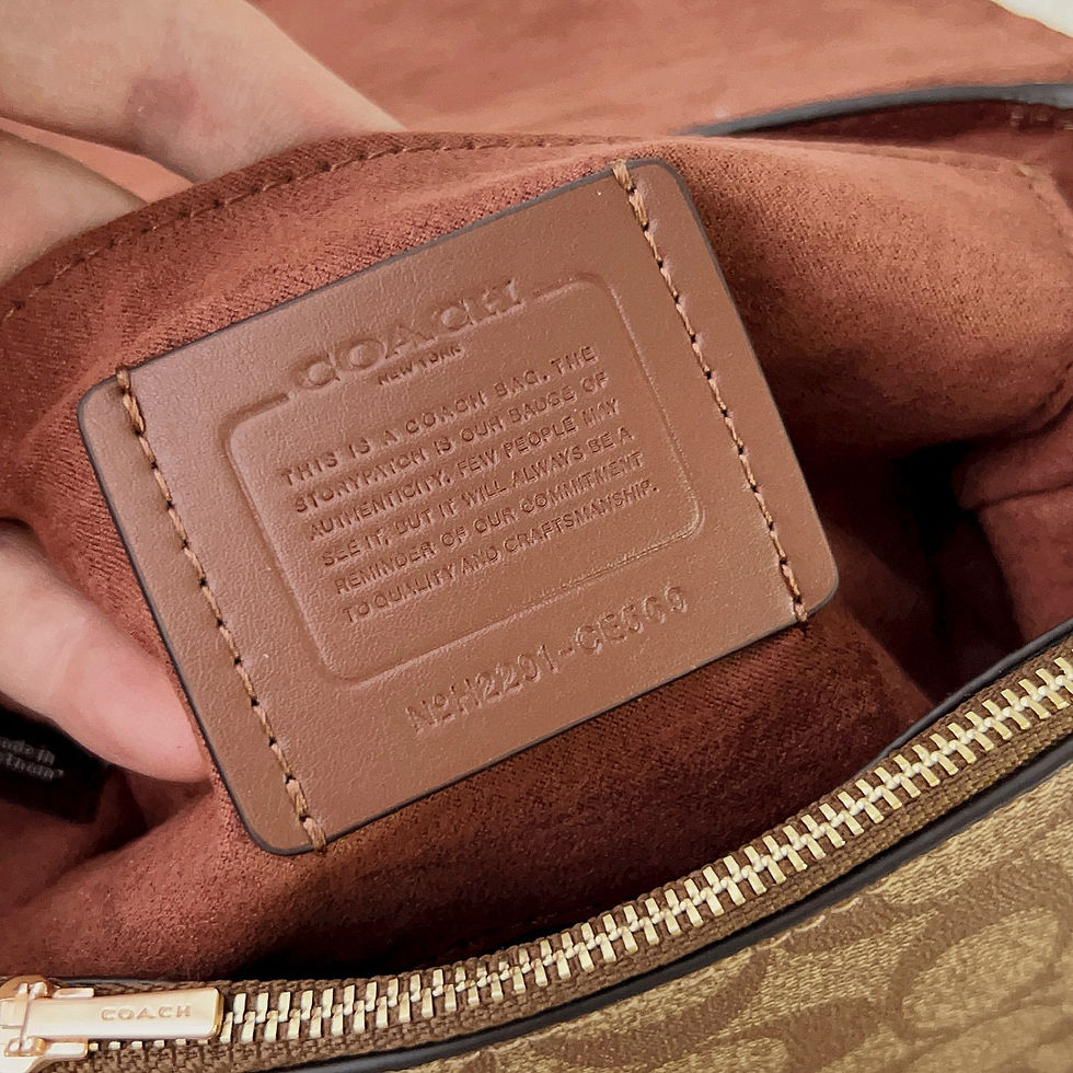 Thumbnail: Coach Bag 10588