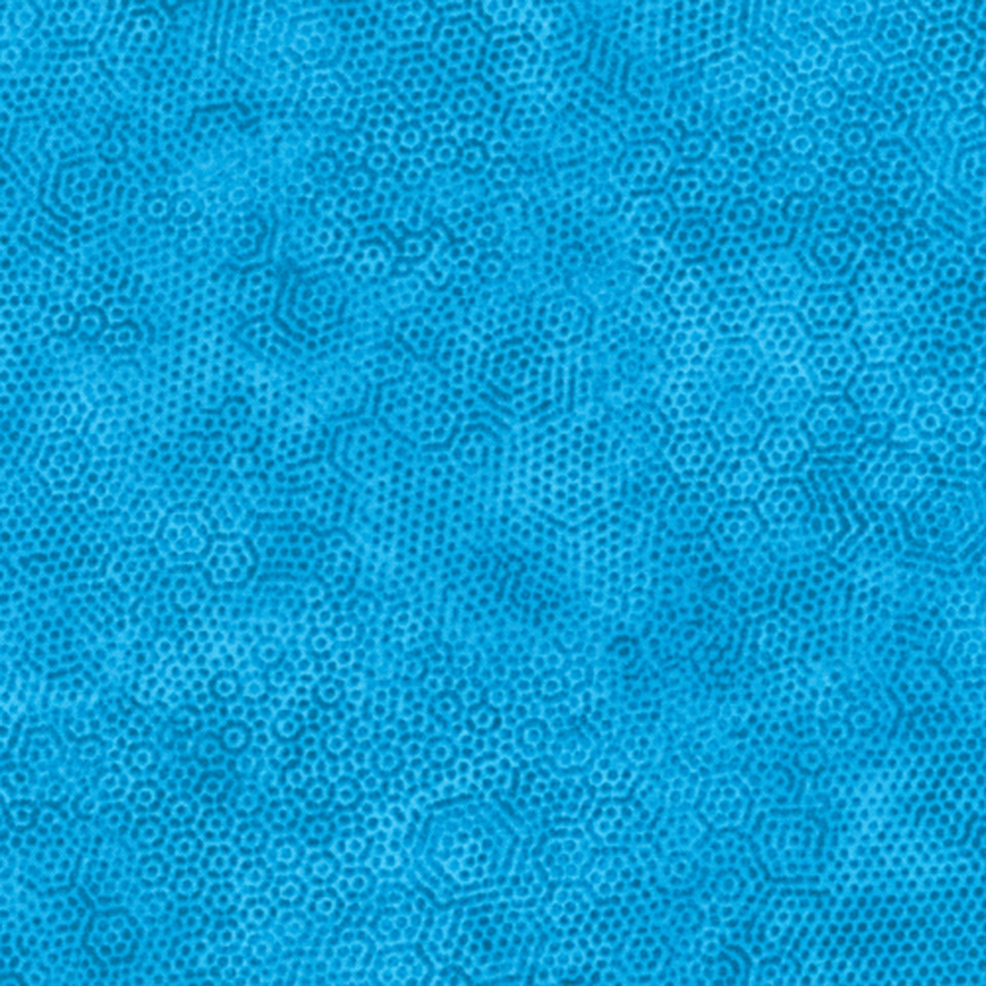 T4 Fairy Tale Blue Dimples