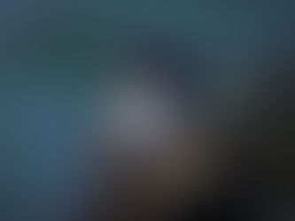 06 - The most exciting companions: The ANIMALS!