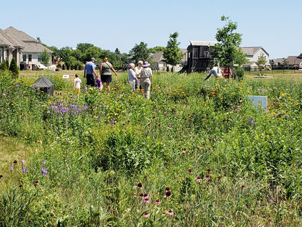 Suburban Prairie