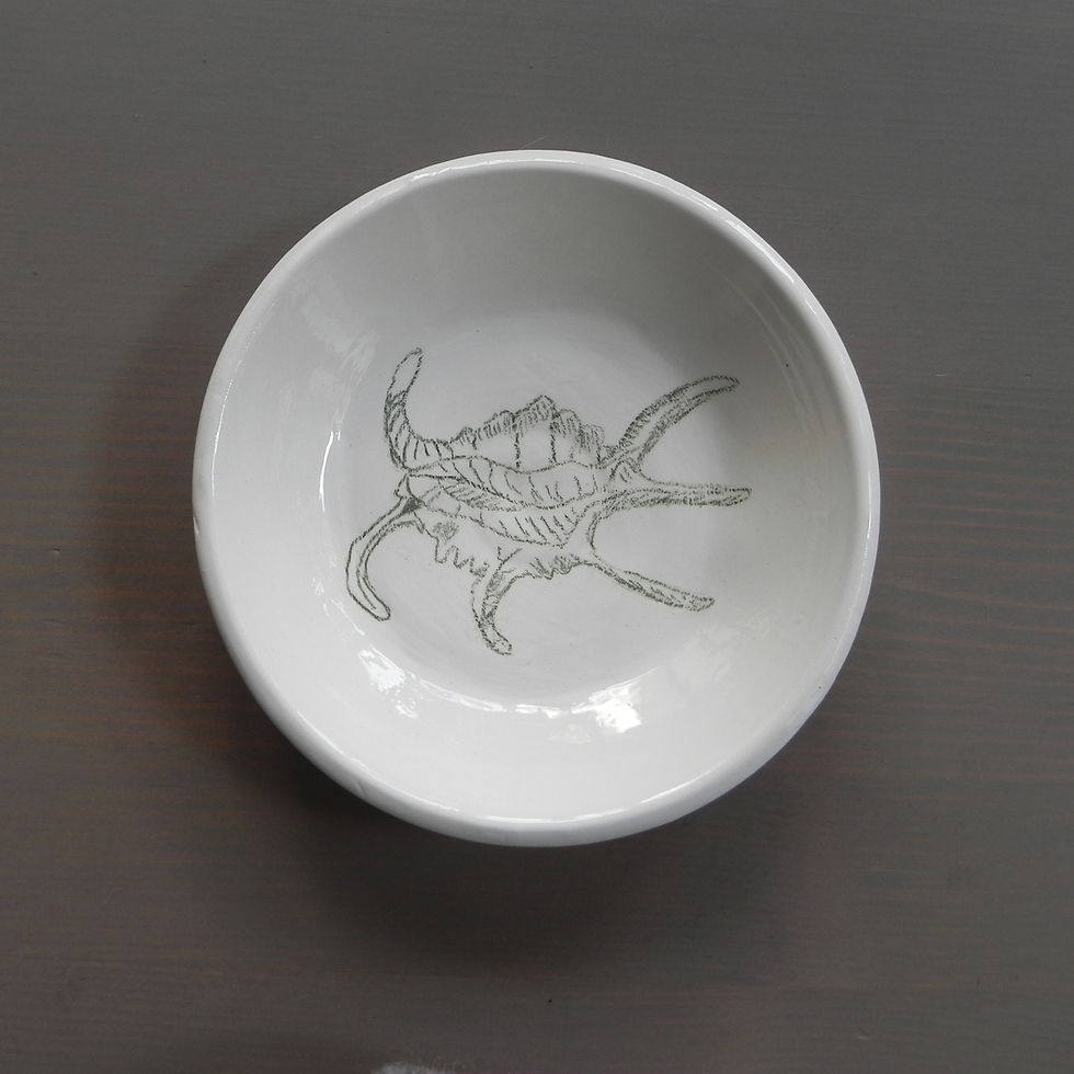 Miniature : Assiette dessert motif coquillage 2