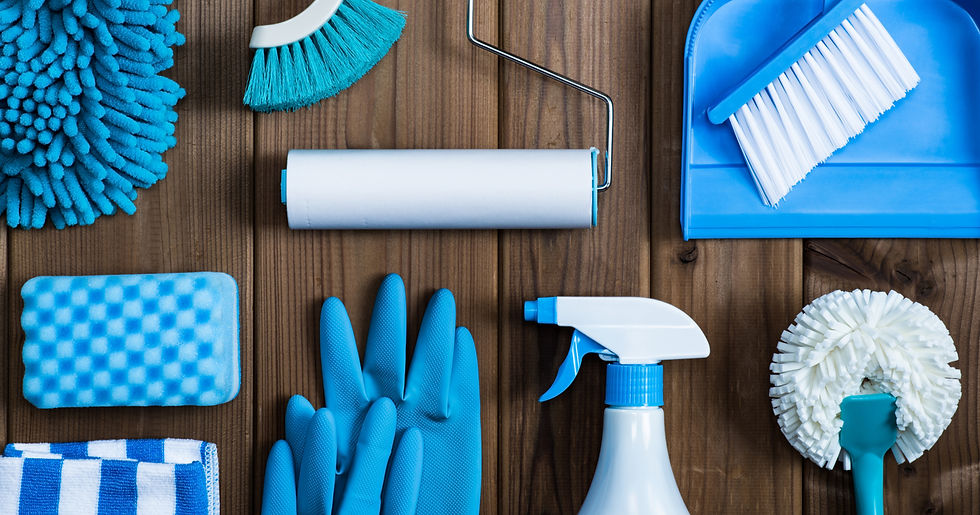 10 Simple Ways to Detox Your Home | Salt & Light Natural Wellness