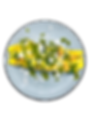 Chicken Pesto