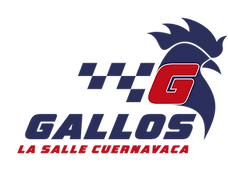 GALLOS_BAJA-05.png