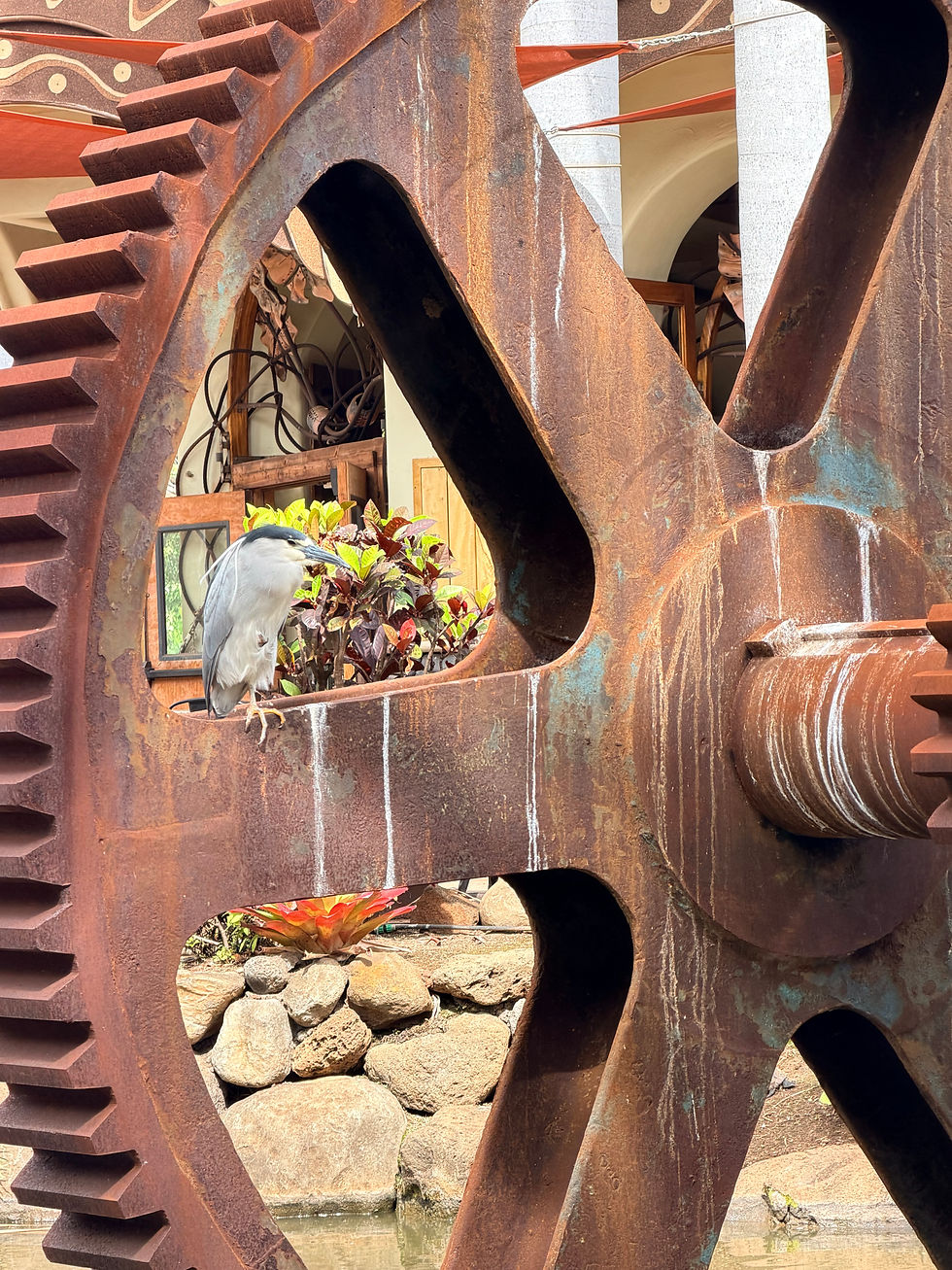 Bird in ancient farm equipment