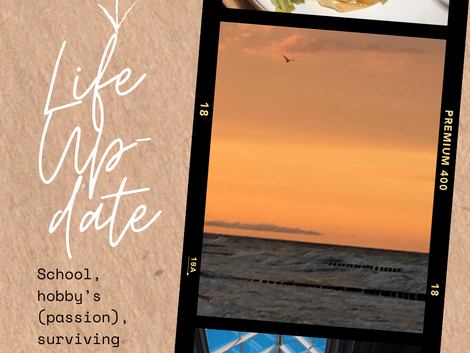A Little Life Update (what I’m up to)