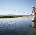 Man Fishing