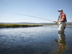 Warm weather fuels toxic algal blooms in 90 NY waterways