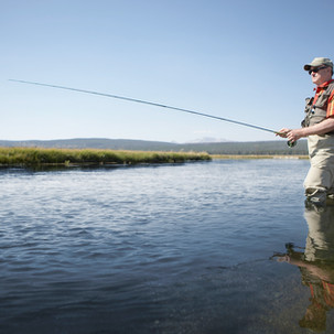 Warm weather fuels toxic algal blooms in 90 NY waterways