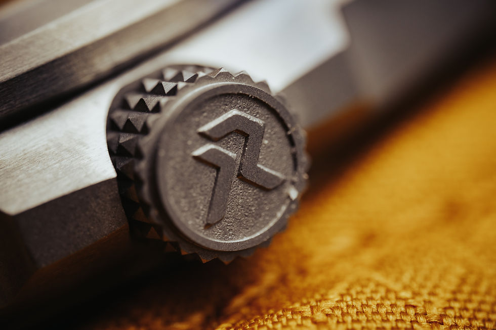 RZE watch crown closeup