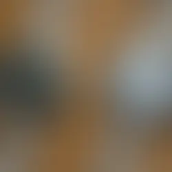 Mastering Time: Unraveling the Legacy of Bulova Watches