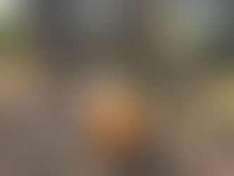 Une jeune femme fait une randonnée à cheval au Chili