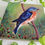 Thumbnail: "Blue as the Day" Eastern Bluebird Original Painting - 12x12