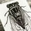 Thumbnail: Cicada Art Print - 5x7 inch