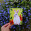 Thumbnail: "White Rabbit" Notecard Set - 4 Pack