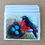 Thumbnail: "Robin's Eggs" Notecard Set - 4 Pack
