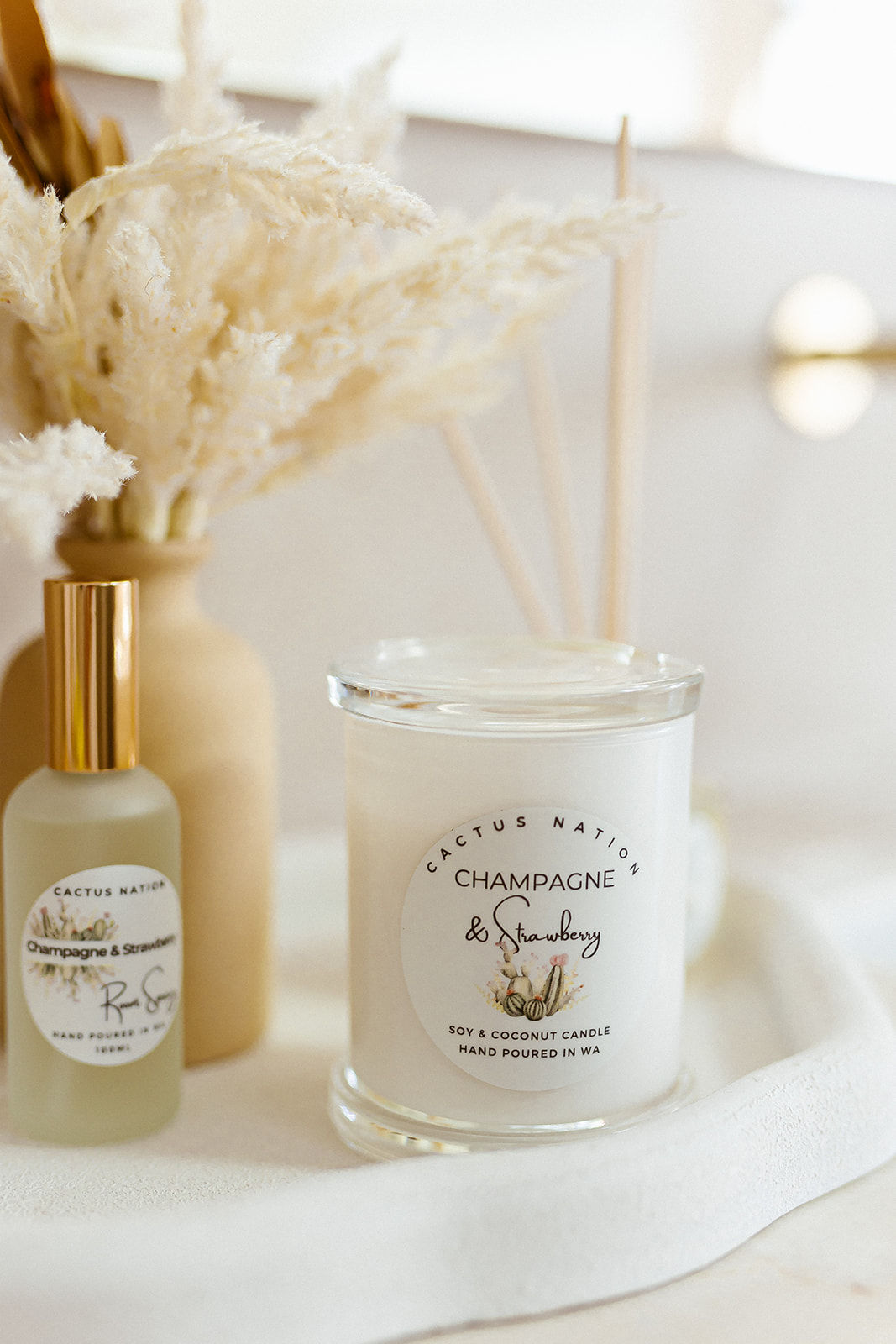 Large Cactus Nation - Champagne & Strawberry Soy Candle