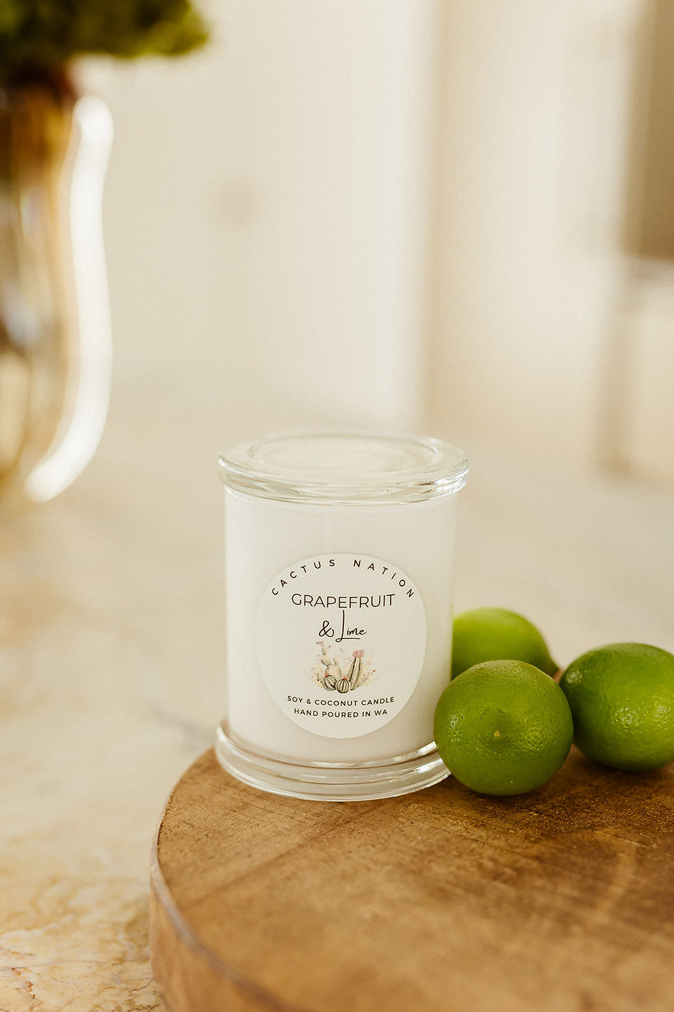 Medium Cactus Nation - Grapefruit & Lime Soy Candle