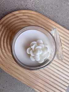 SOY & COCONUT CANDLES CACTUS NATION