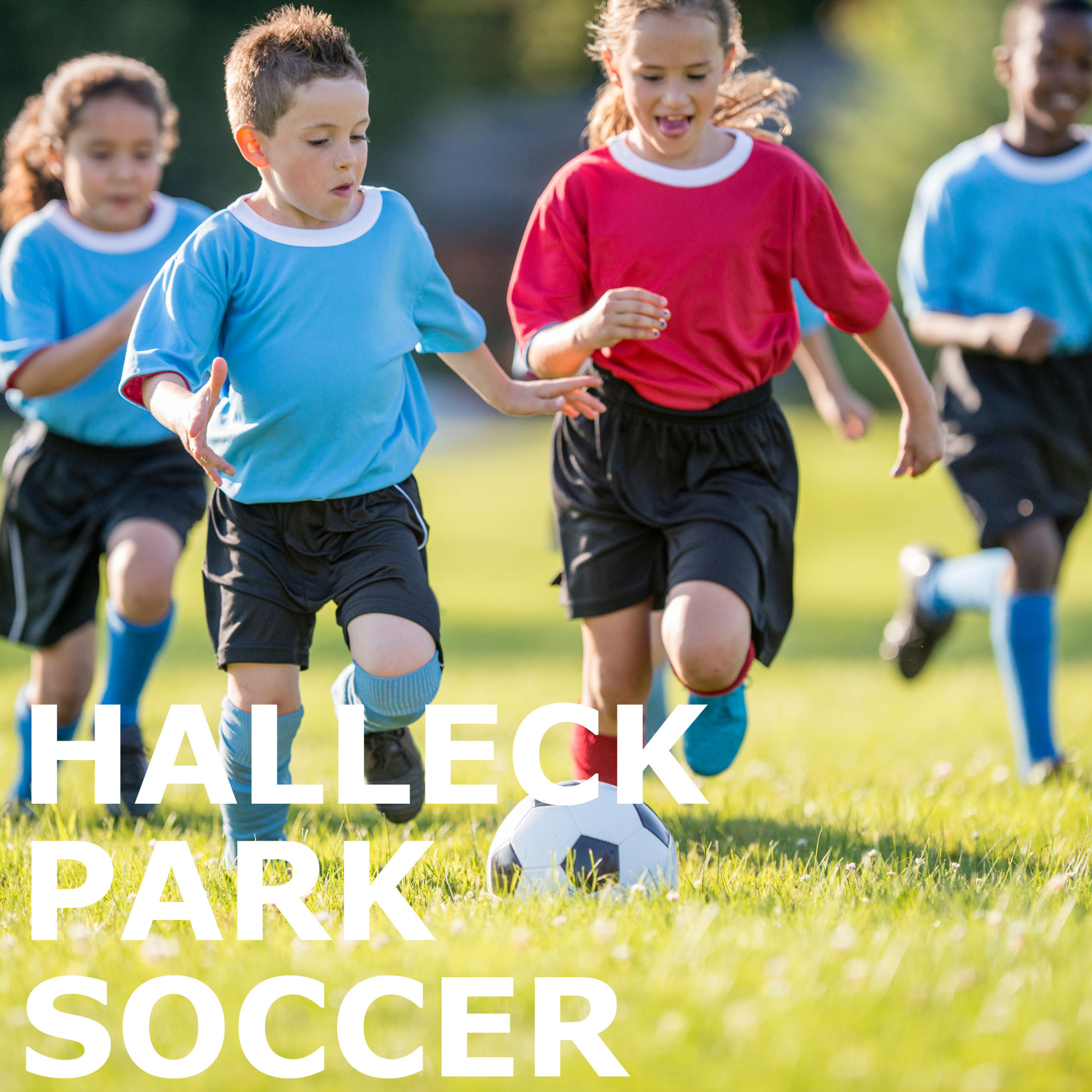 Soccer Camp — Halleck Park (Spring)