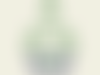 EcoVadis: Solange Sie Nachhaltigkeit nicht steuern, gibt es keine bessere Medaille.