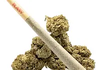 THCa-Flower-Pre-Roll-Blue-Dream-Product-with-Bud.png.webp