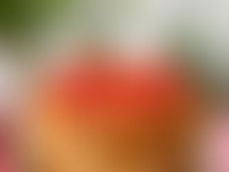 Charlotte aux fraises