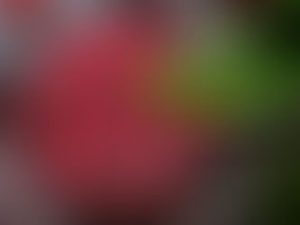 Entremet cassis, mousse vanille & biscuit madeleine