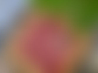 Bavarois framboise - chocolat blanc (version Thermomix)