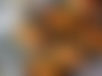 6 brioches à la mie filante (version Thermomix)