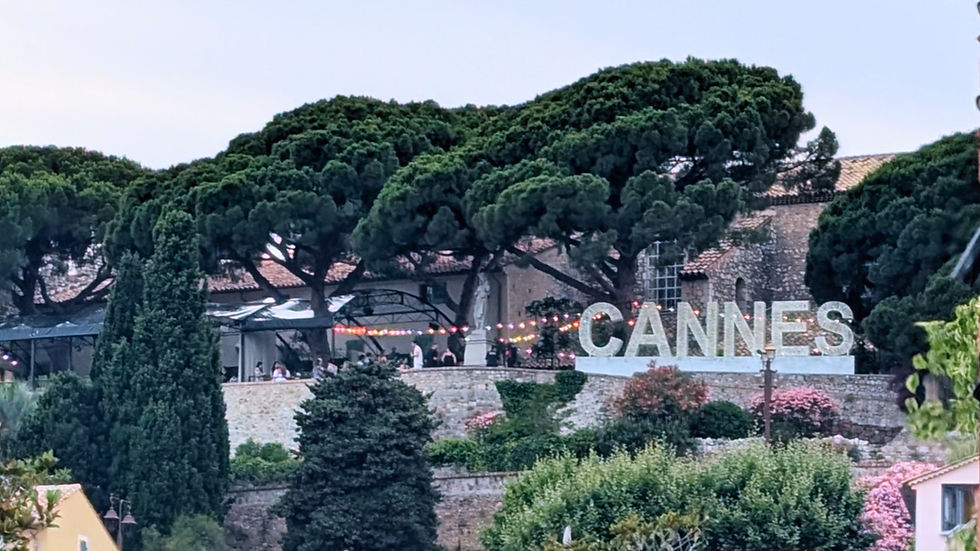 At Cannes, 'Authenticity' Was as Abundant as the Warm Rosé