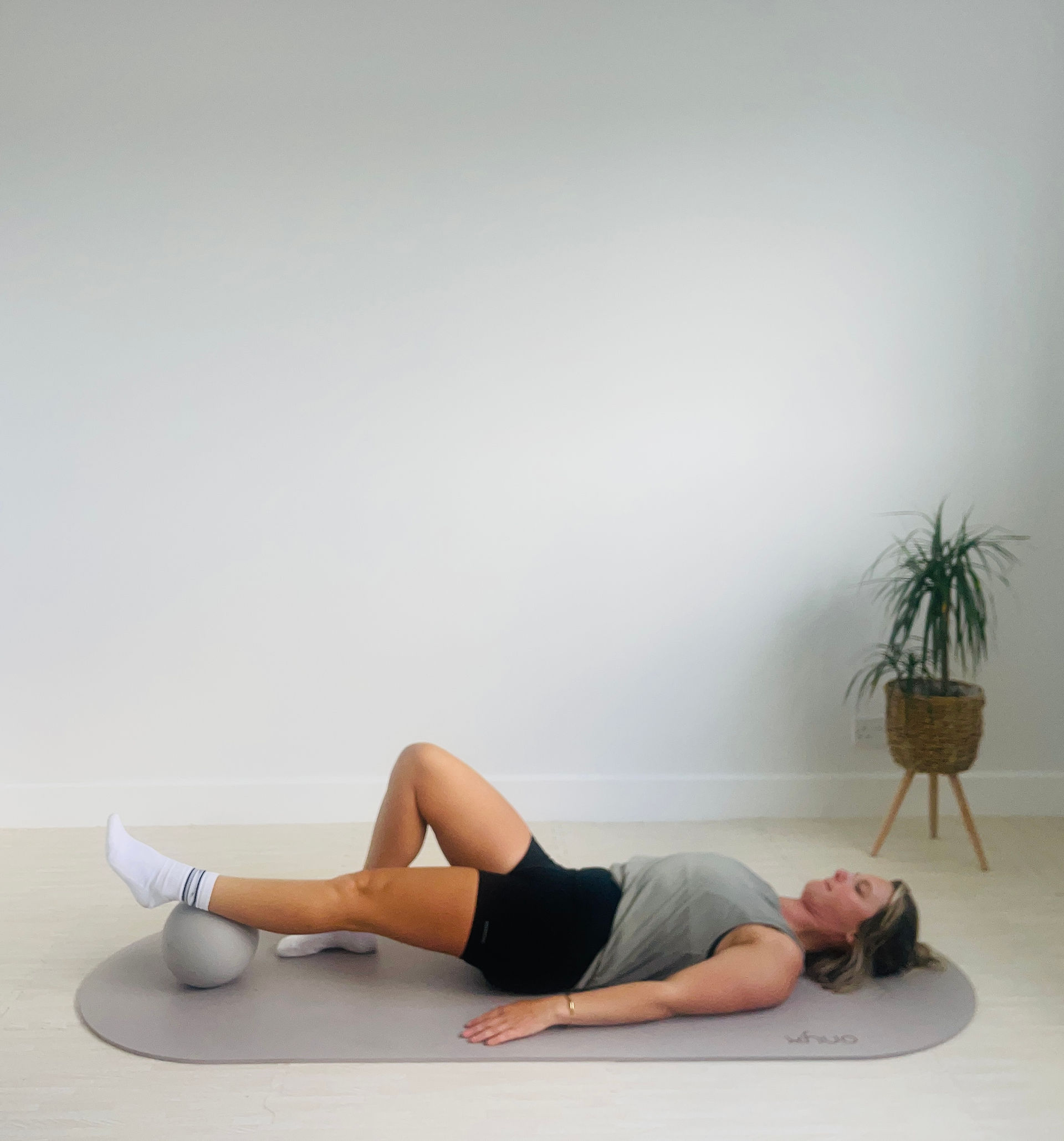 Pilates Mini Ball Exercise