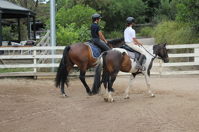 Horse riding melbourne eastern suburbs