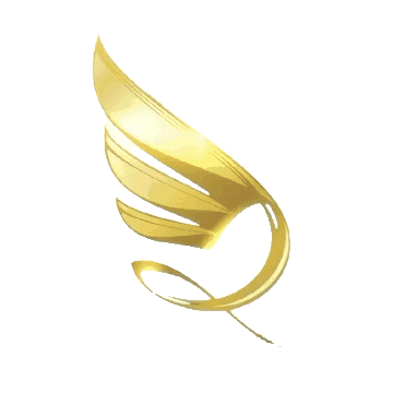 No BG Angels Logo (Spin).gif