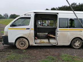 HOLY-COW! Police dodge CATTLE thrown from South African taxi during police chase