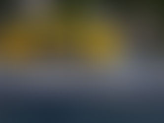 The taxi trade is recognised as ‘flexible transport services’ for rural areas, says transport minister