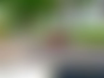 Brits would far rather drive in Europe than on the UK’s ‘broken’ roads