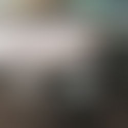 London taxi chairman questions lack of industry recognition and support as trade debate intensifies