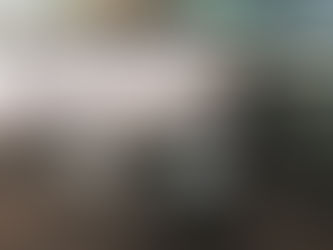 London taxi chairman questions lack of industry recognition and support as trade debate intensifies