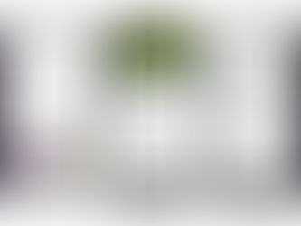 Uber Bubbles launched in France offering unique champagne experience