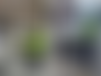 Wolverhampton licensing officers join Chester checks as part of out-of-area enforcement drive