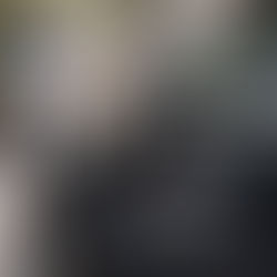 STAYING GREEN: Slough set to retain 2023 taxi vehicle emissions policy after review backs progress on air quality